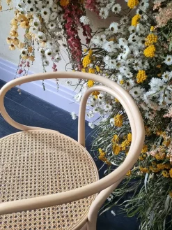 Thonet 209 Armstol, ask fra Clearance