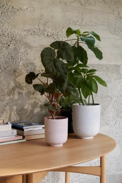 &Tradition Collect Planter SC72 fra Best