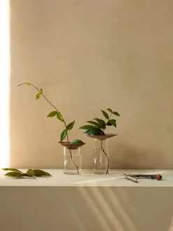 Audo Copenhagen Cresco Propagation Vases, sæt á 2 stk. fra Outlet