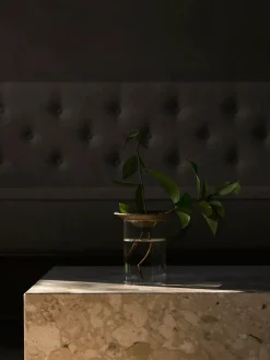 Audo Copenhagen Cresco Propagation Vases, sæt á 2 stk. fra Outlet