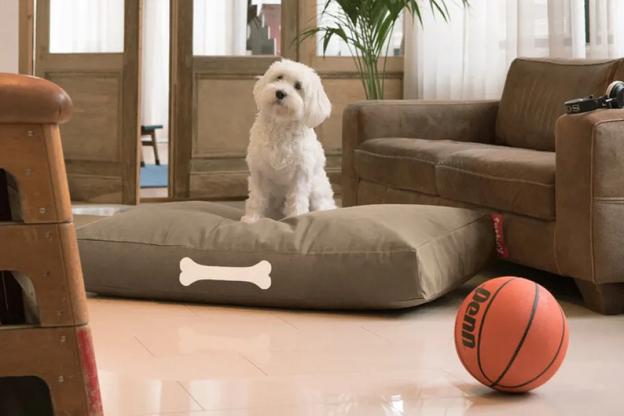 Fatboy Doggielounge L Canvas Recycled - Hundekurv fra Outlet