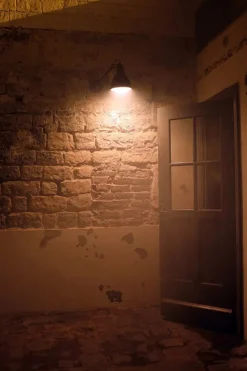 Lampe Gras Nr. 304XL udendørs væglampe fra Sale